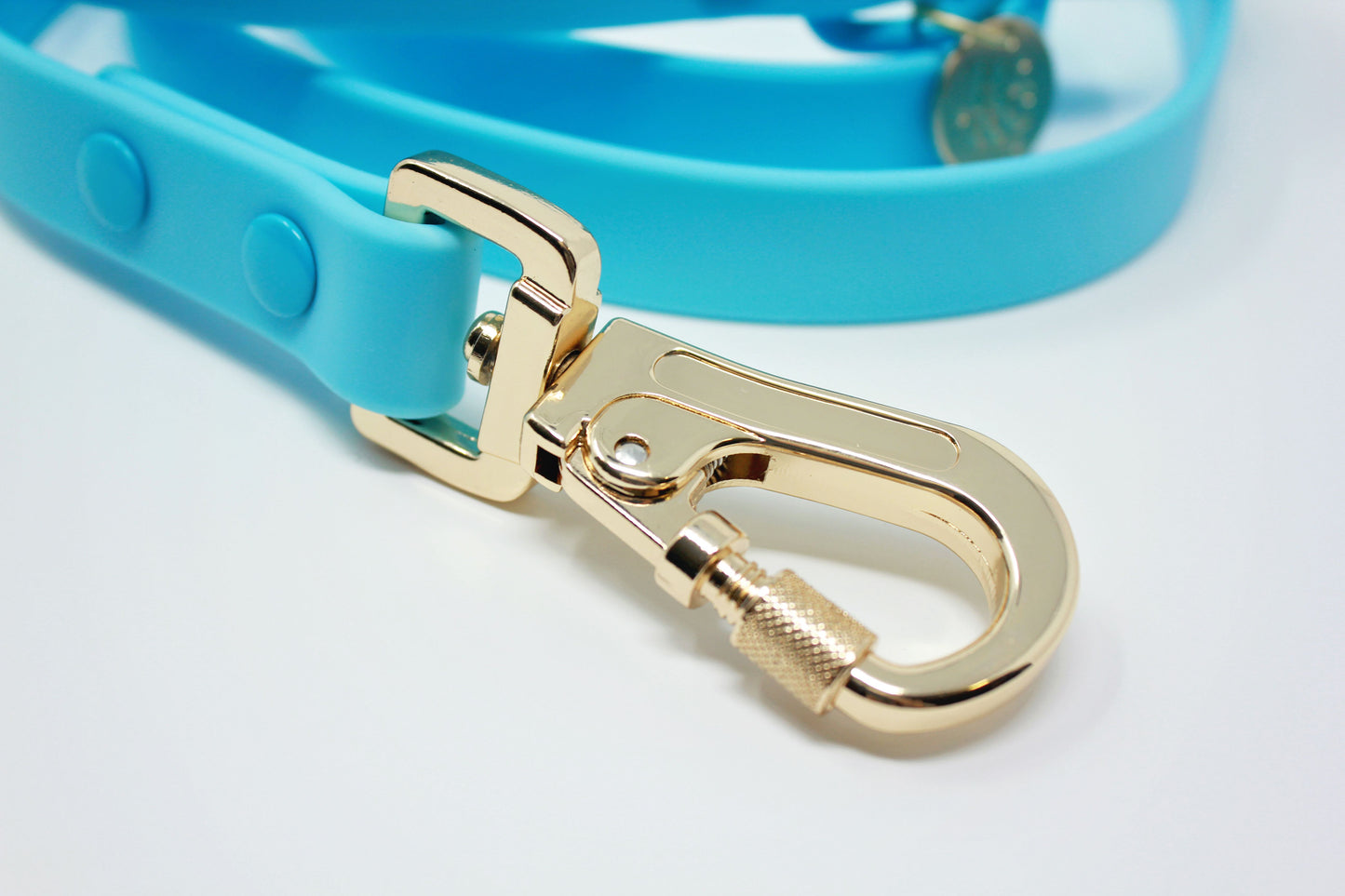 Blue Raspberry - Waterproof Leash