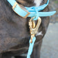 Blue Raspberry - Waterproof Leash