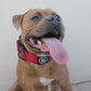 Red - Bully Collar