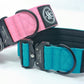 Pink - Bully Collar