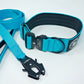 Blue - Bully Collar