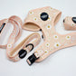 Retro Dancing Daisies - Leash