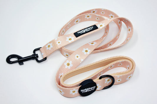 Retro Dancing Daisies - Leash