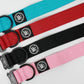 Blue - Bully Active Collar