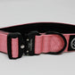 Pink - Bully Active Collar