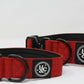 Red - Bully Active Collar