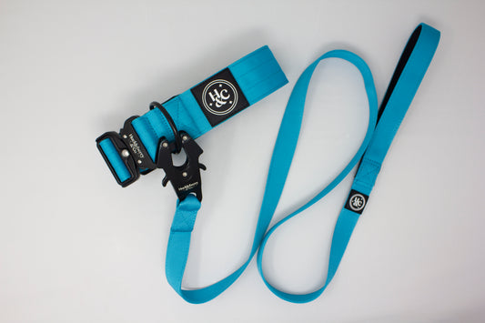 Blue - Bully Leash