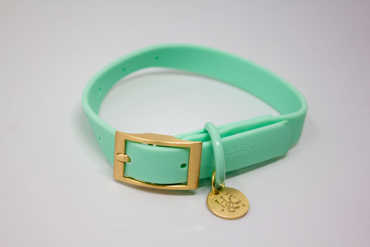 Spearmint - Waterproof Collar